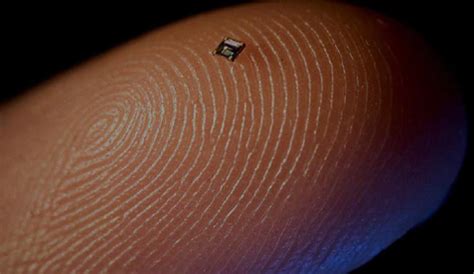 rfid chips found in new born|Study Finds 1 in 3 Americans Have Been Implanted with RFID .